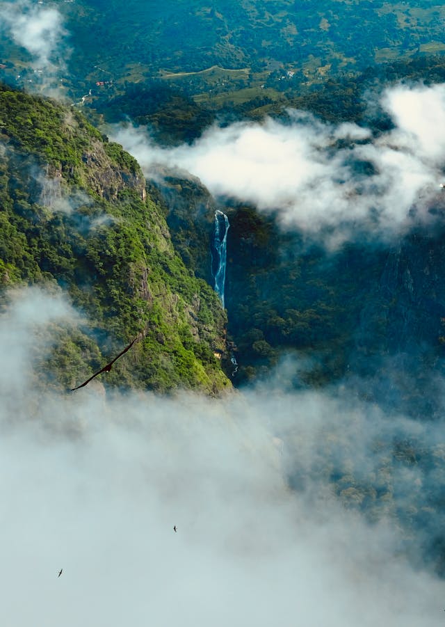 Ooty & Coonoor Hills